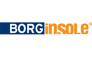 Logo Borginsole